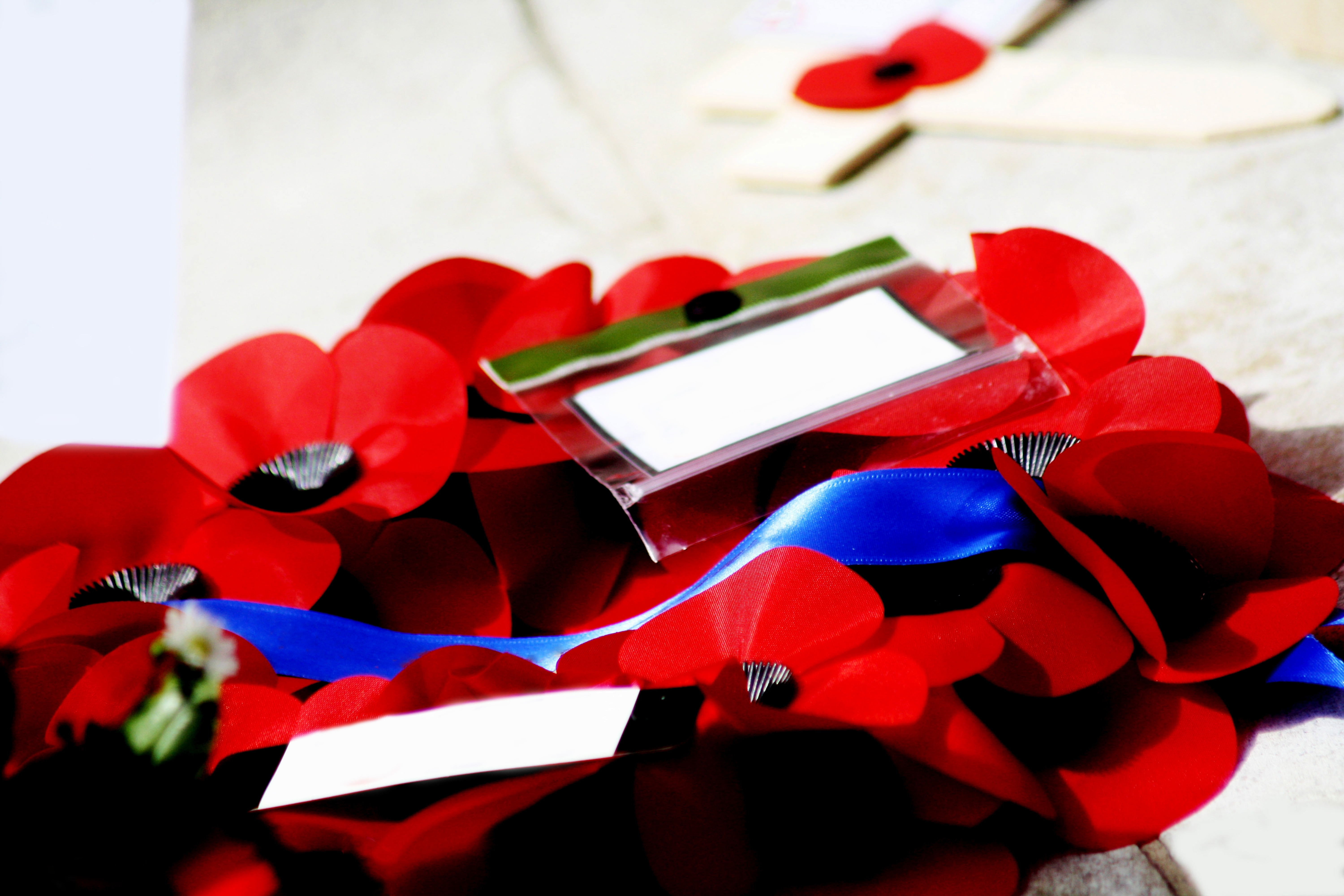 Honouring Service, Supporting People: What Remembrance Day Means for Us